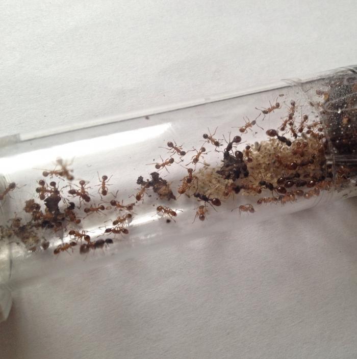  03.05.15, 10 23 22.jpg